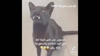 جن عل شكل قطوس