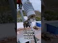 Conexión de cables de alta tensión: ¡Mira cómo! #worker #process #electrical #high voltage