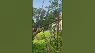 Tôi làm con dao quắm phát rẫy bằng thép lò xo Nhật chặt cây như chặt chuối vậy