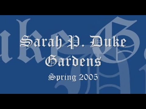 Sarah P. Duke Gardens - Spencer C. Young