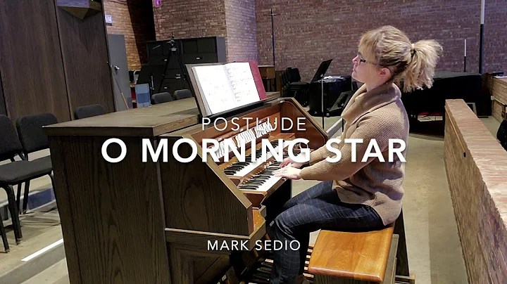 O Morning Star  Mark Sedio