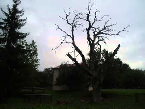 dumacxovi დუმაცხოვი