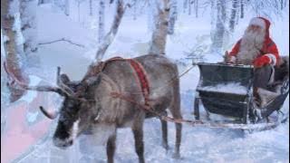 HULL  A  PELYHES  FEHÉR  HÓ