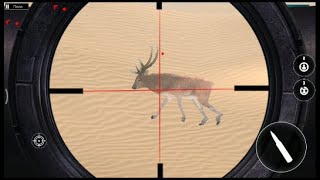 Wild Deer gameplay for baby game | Roema Entertainment screenshot 1