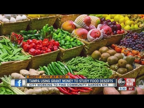 Community health project aims to fight food deserts