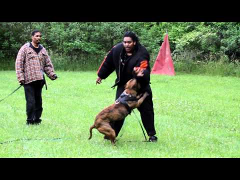 MFB KIMBO SLICE TAKING DOWN DECOY LOL TRAINING 5-6-12