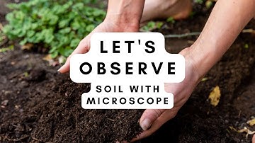 Observing Soil Sample through Microscope