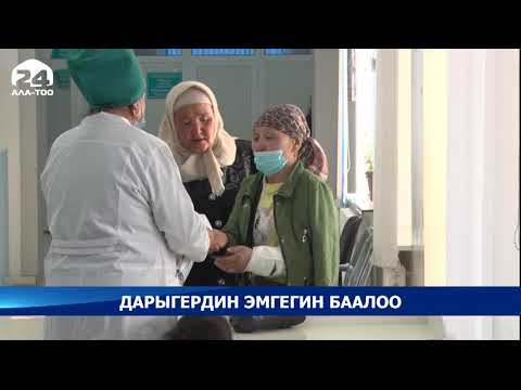 Video: Үй жаныбарларын медициналык камсыздандырууну тандап жатканда эмнени сурасаңыз болот?