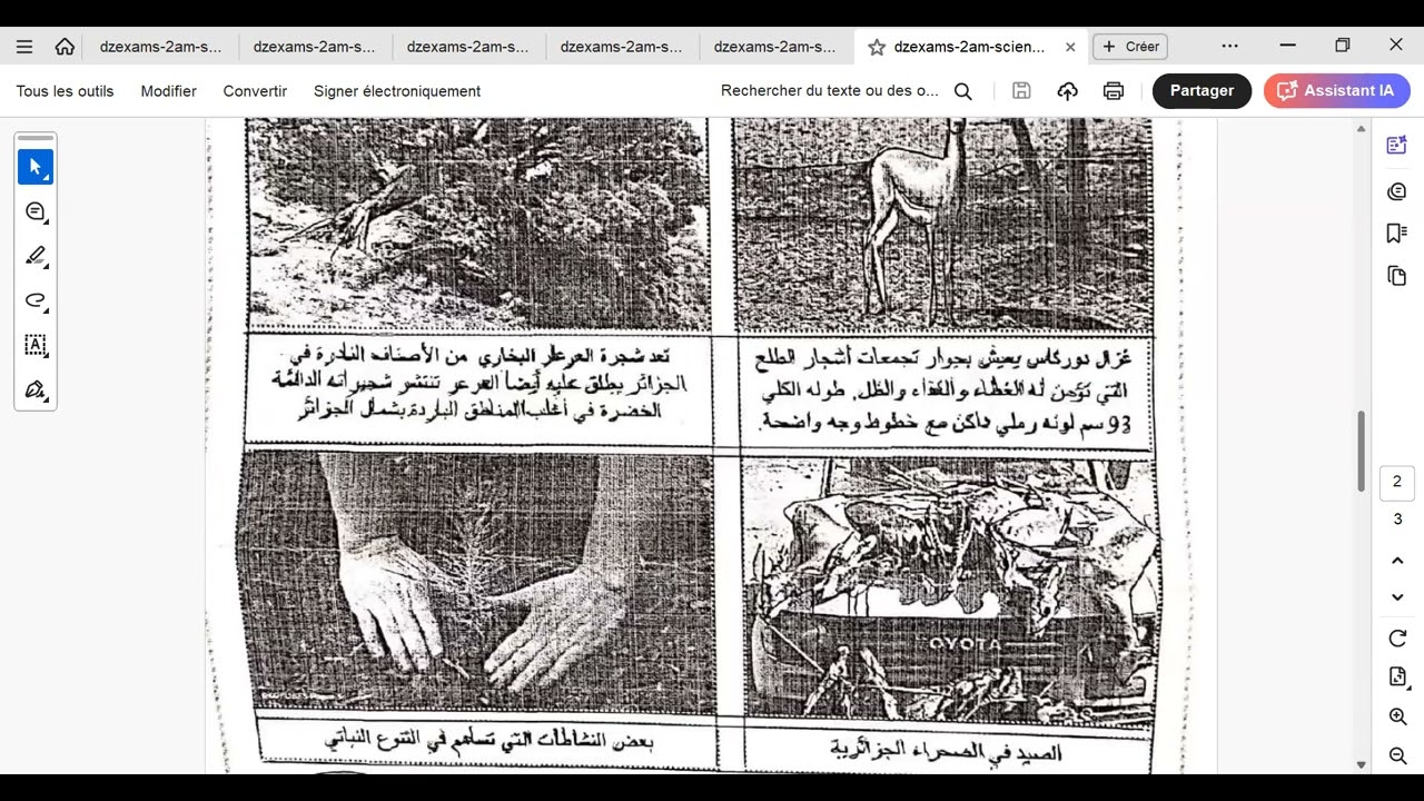 حصة مراجعة و حل مواضيع الفصل الثالث ثانية متوسط