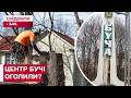 СКАНДАЛ У БУЧІ! ЧОМУ НА ЦЕНТРАЛЬНІЙ ВУЛИЦІ МАСОВО ЗРІЗАЛИ ДЕРЕВА