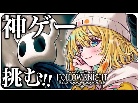 【HOLLOW KNIGHT】お金集めしてきたぞ！！！次はどこいくなにするぅ！？！？#04☀【インコ系Vtuberはなのすみれ】