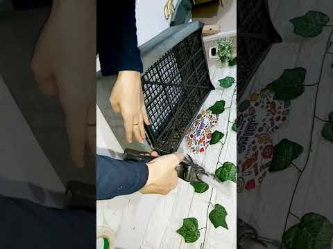 اعمليه بسبت الفاكهه البلاستيك