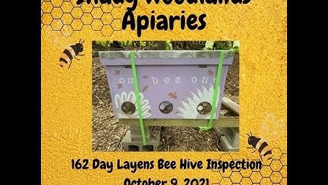 162 Day Inspection 20 Frame Layens Horizontal Bee Hive on October 9, 2021