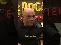 Western Diet Secrets  Processed Foods Making You Sick #youtubeshorts #podcast #algorithm #jre #talk