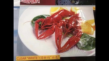 Cinova CI Flexo Press Printing 2021.2