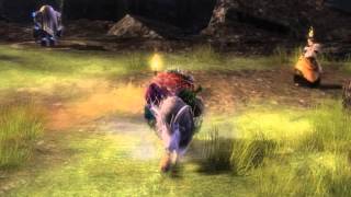 Guild Wars 2 - WE RIDE