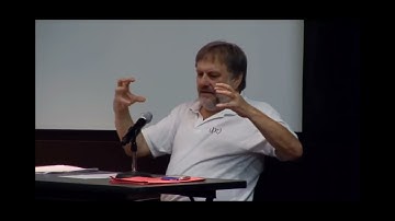 Slavoj Žižek on Fleshlights