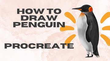 How to Draw a Penguin in Procreate- For Beginner