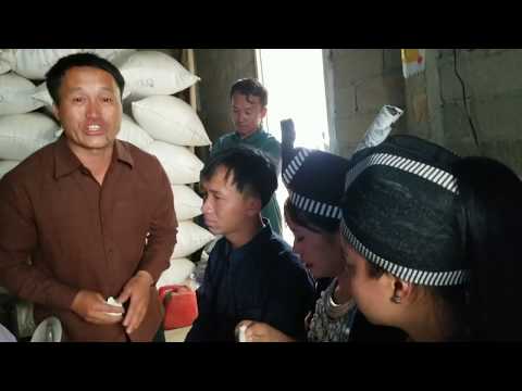 Video: Yuav Ua Li Cas Txhom Tus Vauv Nkauj Nyab