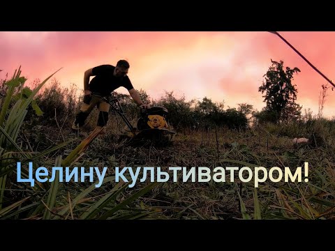 Мотокультиватор на целине!