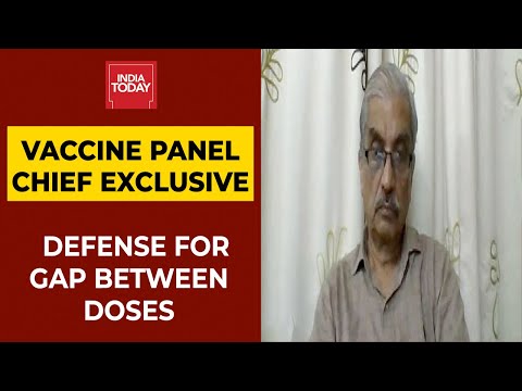 Vaccine Panel Chief