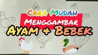 Easy Way to Draw Chicken & Duck