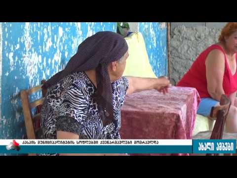 გველების შემოსევა კასპის რაიონში 24.07.2017