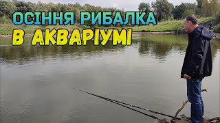 Осіння рибалка в акваріумі (Микулинці)