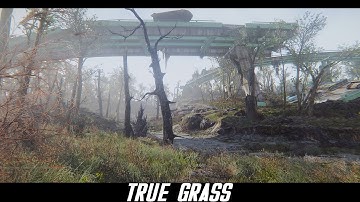Fallout 4 Mods: True Grass