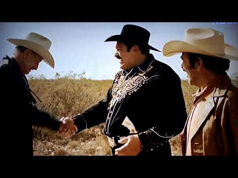 Mario Almada es bueno confiar pero es mejor no confiar Confiar es bueno, pero no confiar es mejor: Descubre por qué