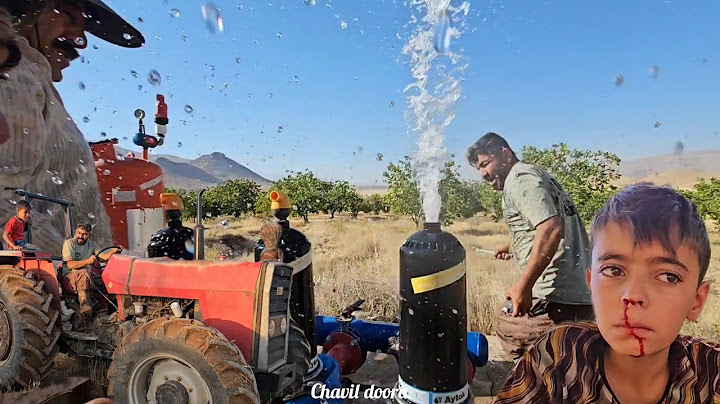 Life in the Wilderness: A Nomadic Family's Struggle for Survival and Care for Their Orchard