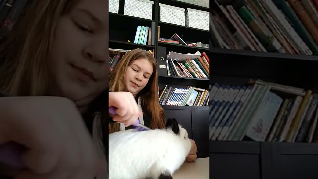 bunny's spa-day 🐰