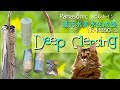 【お手入れ】#Panasonic #ビルトイン浄水器　Deep #お手入れ♪ そして愛猫