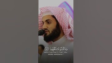 سورة الأعراف _بصوت رعد الكردي
