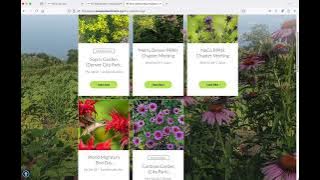 Wix Events Calendar Review