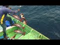 Amazing! Red Snapper Fish Catching Skill, Catching Red Snapper Fish In Deep sea