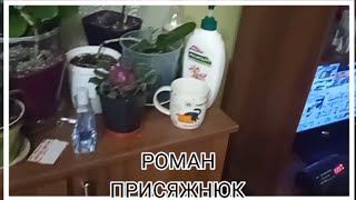 видео: Роман Присяжнюк: Рома 54 сезон 2 серія - 1256 серія - Стаканчик | РоманПрисяжнюкФільми для дітей | Р картинка: Роман Присяжнюк: Рома 54 сезон 2 серія - 1256 серія - Стаканчик | РоманПрисяжнюкФільми для дітей | Р