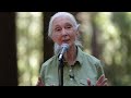 Jane Goodall speaks at Berkeley (full event)