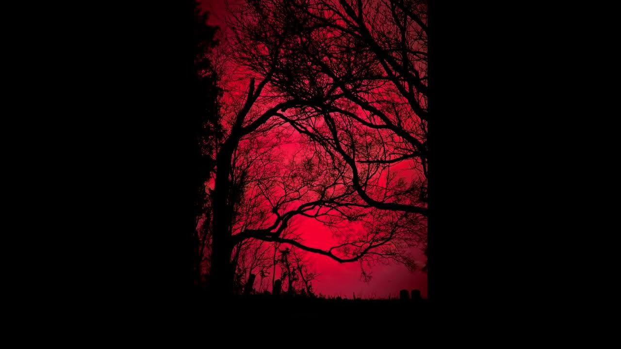 Resonance x genesis x not allowed slowed