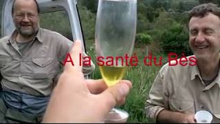 Pêche À La Mouche Bès Lozère