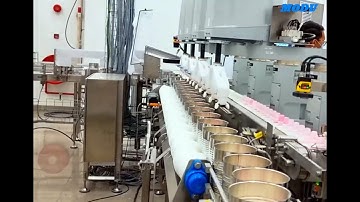 High Speed Robotic Spoon Pick & Place System