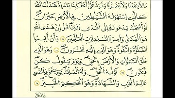 سورة الأنعام-الشيخ علي الحذيفي-رواية قالون