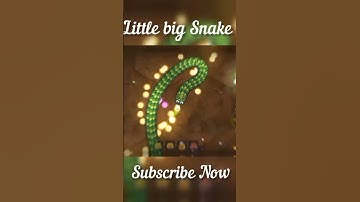 Littlebigsnake.io 🐍 | Little Big Snake Gameplay 💪 #technosapera #snake #games #littlebigsnakeio 04
