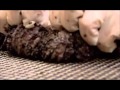 How It s Made Farmed Caviar