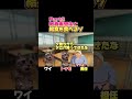 【あるある】教育実習生と給食を食べるゾPart3 #あるある #食事 #学校