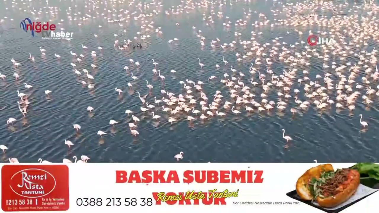 NİĞDE TV