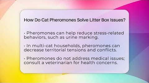 How Do Cat Pheromones Solve Litter Box Issues? - Happy Cat Handbook