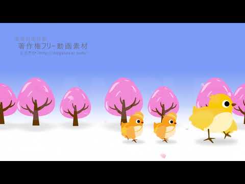 著作権フリー動画素材 商用利用可 小鳥歩く1 3幼稚園 桜 ループ Youtube