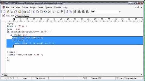 PHP Tutorial  for creating Indentation