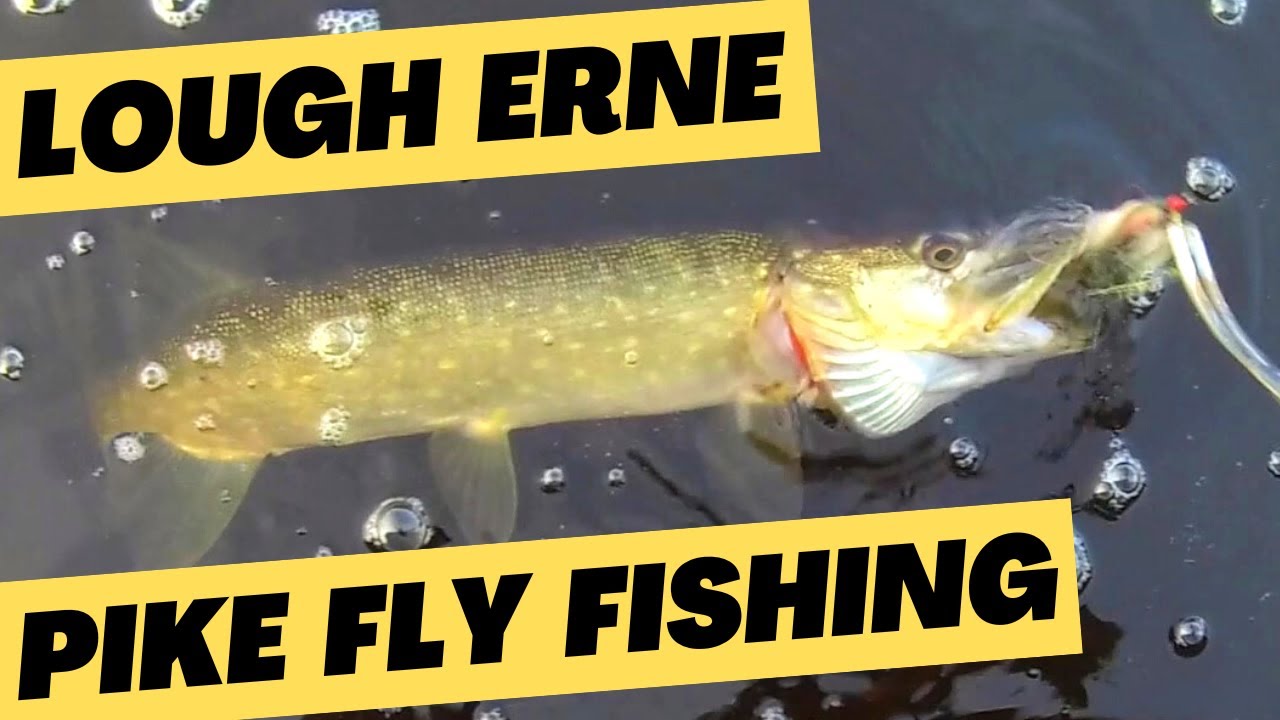 Fly Fishing for Pike on Lough Erne, County Fermanagh YouTube